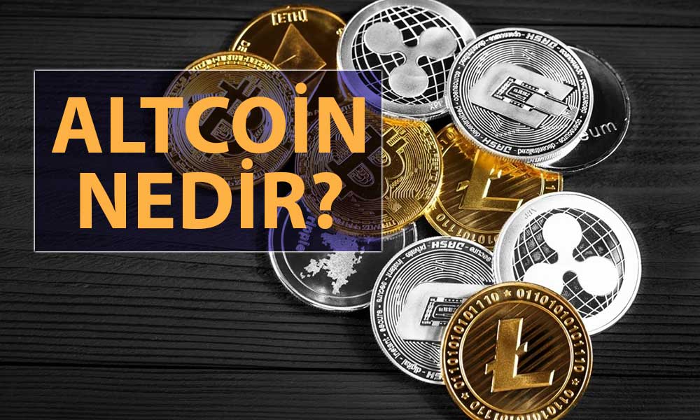 Altcoin Nedir Nas L Al N R Altcoin E Itleri Paratic