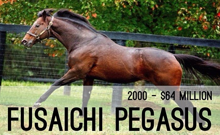 Fusaichi Pegasus