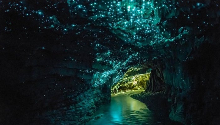 Glowworm Mağaraları - Yeni Zelanda