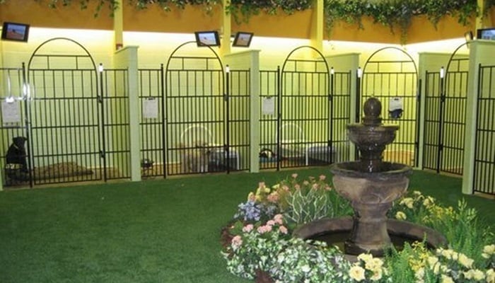 Barkley - Orange Village/Ohio