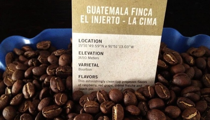 El Injerto Kahve - Guatemala