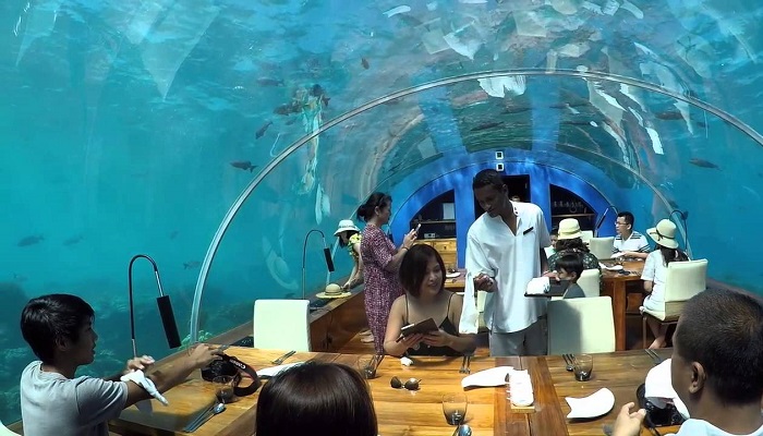 Ithaa Denizaltı Restoranı – Maldivler