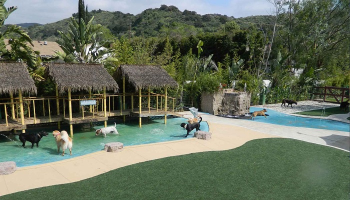 Paradise Ranch Evcil Hayvan Tatil Köyü - Los Angeles/Kaliforniya