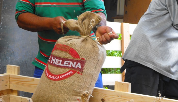 Saint Helena Kahve Şirketi - Saint Helena