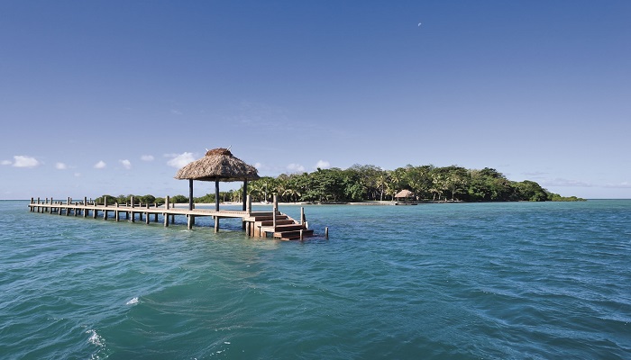 Dolphin Island - Viti Levu/Fiji