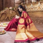 Hintli Kadınların En Pahalı Geleneksel Elbisesi