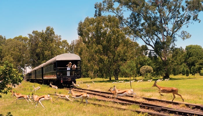 Rovos Rail - Cape Town’dan Darüesselam’a