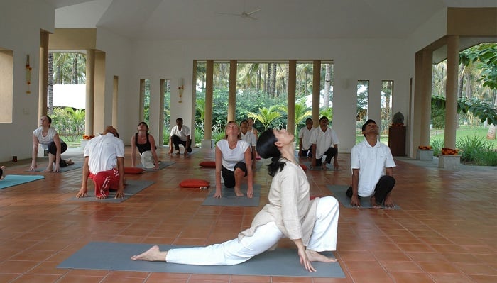 Shreyas Yoga Tesisi - Hindistan