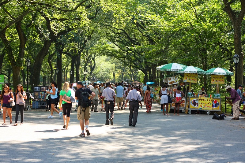 Central Park’ta bir sosisli sandviç tezgahı açmak için ne kadar para gerekiyor