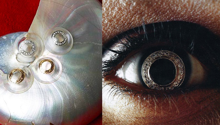 Kontakt Lens - La Ser Eye Jewelry