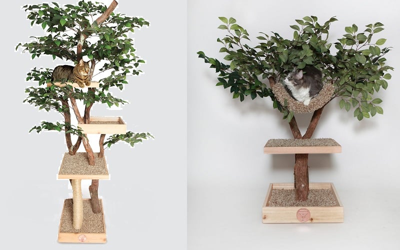 Yetişkin Kediler için Ağaç Ev