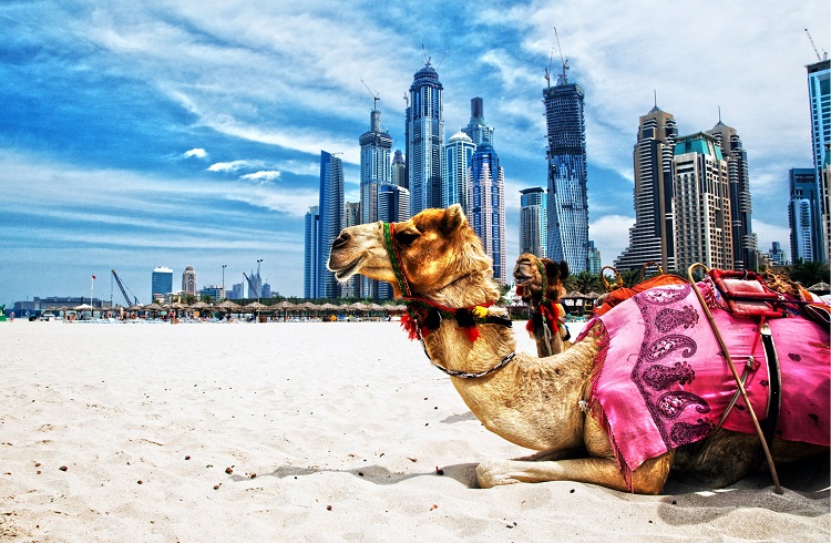 Dubai’nin Yatırım İçin Cennet Olduğunu Kanıtlayan 11 Sebep