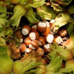 Fındık Borsası Rekor Fiyattan Açıldı