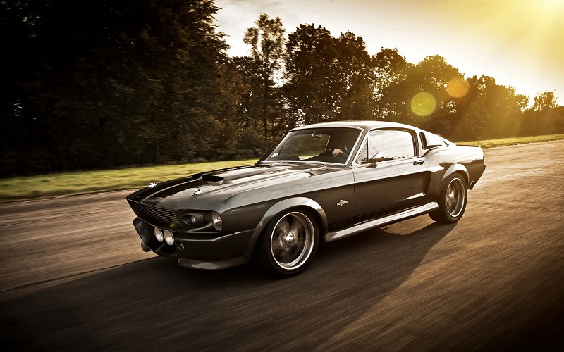 Shelby Mustang