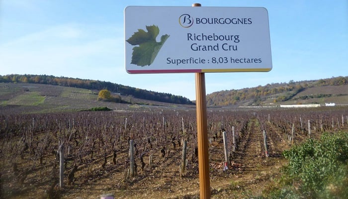 Şarap dünyasının kralı "Richebourg Grand Cru"