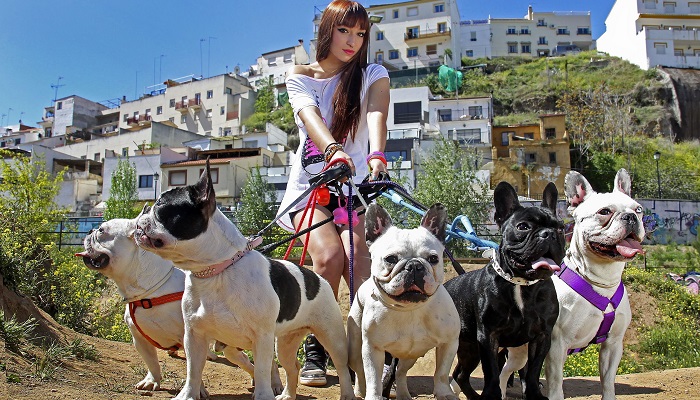 Köpek Bakıcısı