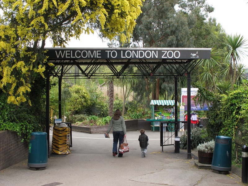 II. Elizabeth’in Londra Hayvanat Bahçesi’ne bıraktığı hayvanlar