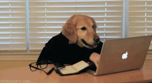 Blog ve Web Sitesi Açmak
