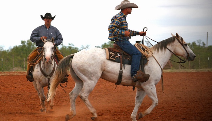 The Waggoner Ranch Yeni Sahibini Bekliyor