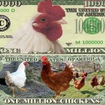 Tavuk ve Hindi Yetiştiriciliği Yaparak Para Kazanmak