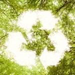 Geri Dönüşümden Para Kazanmak