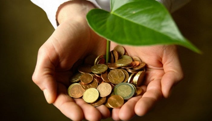 Seracılık Yaparak Ne Kadar Para Kazanılır?