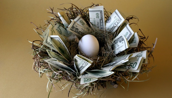 Yumurta Üretimi Yaparak Ne Kadar Para Kazanılır? Yumurta Üretimi Yaparak Ne Kadar Para Kazanılır?