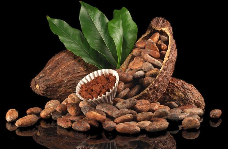 Kakao Ticareti Nasıl Yapılır? Kakaodan Para Kazanmak için Öneriler