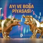 Ayı ve Boğa Piyasası Nedir? Ne Kadar Sürer?