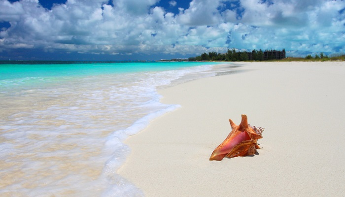 Providenciales - Turks ve Caicos Adaları