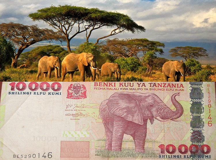 Tanzanya Para Birimi ve Ekonomisi