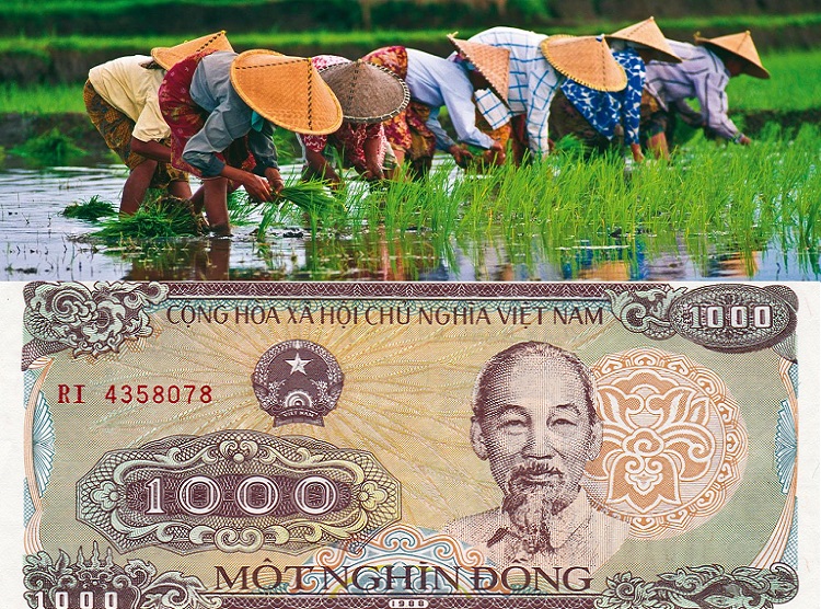 Vietnam Para Birimi ve Ekonomisi
