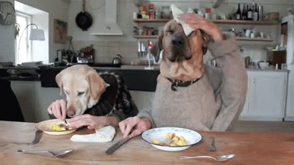Köpek Gibi Yemek Yemeye Çalışmak