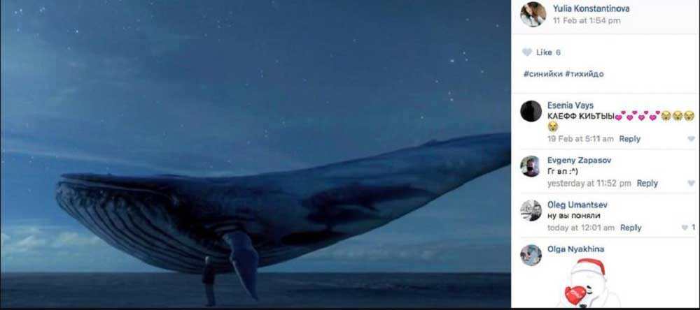 Ölümcül Blue Whale Oyunu