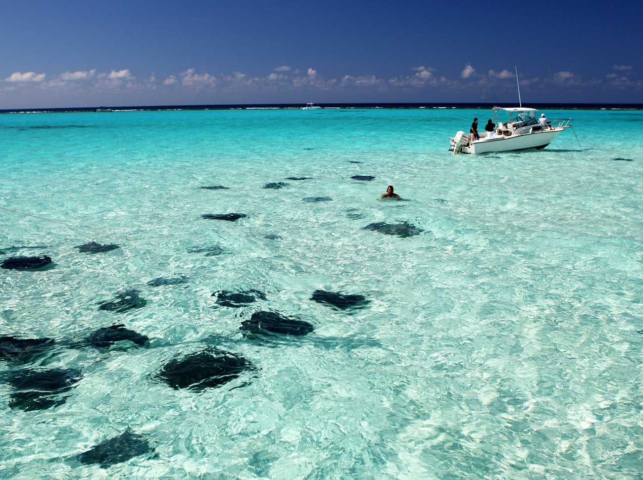 Grand Cayman Cayman Adalari Dunyanin En Temiz Denizleri