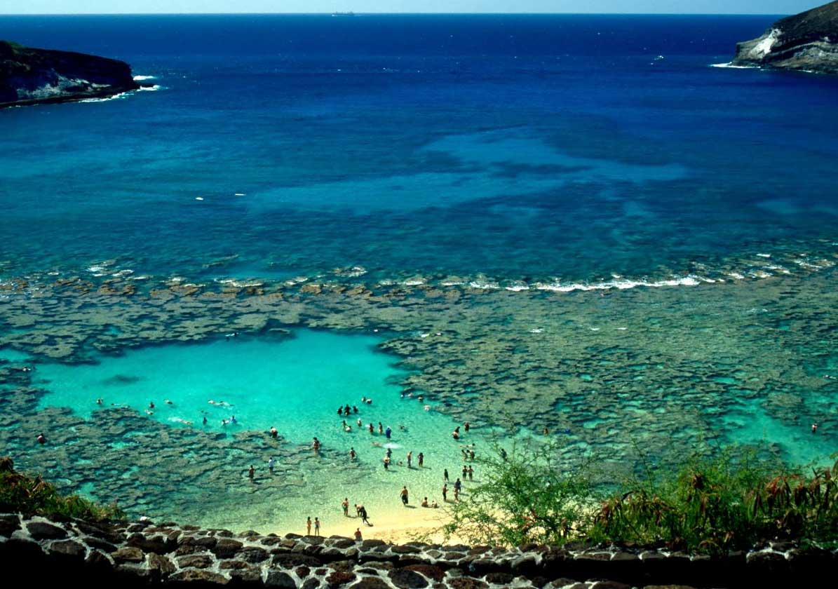 Hanauma Koyu Hawaii Dunyanin En Temiz Denizleri