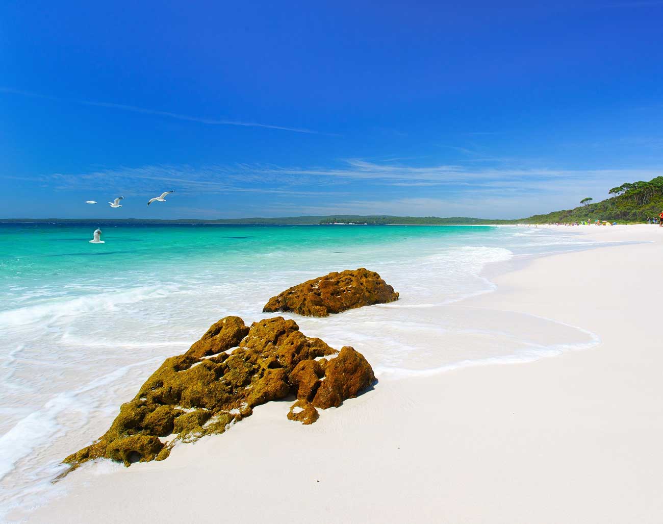 Kyams Beach Avustralya Dunyanin En Temiz Denizleri