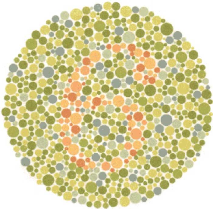 Renk Körlüğü Testi: Bakalım Sizin Dünyanız Ne Kadar Renkli? | Paratic