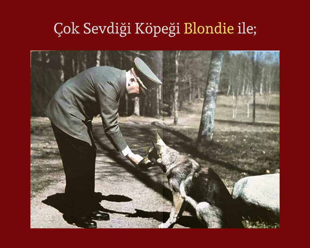 Çok Sevdiği Köpeği Blondie;
