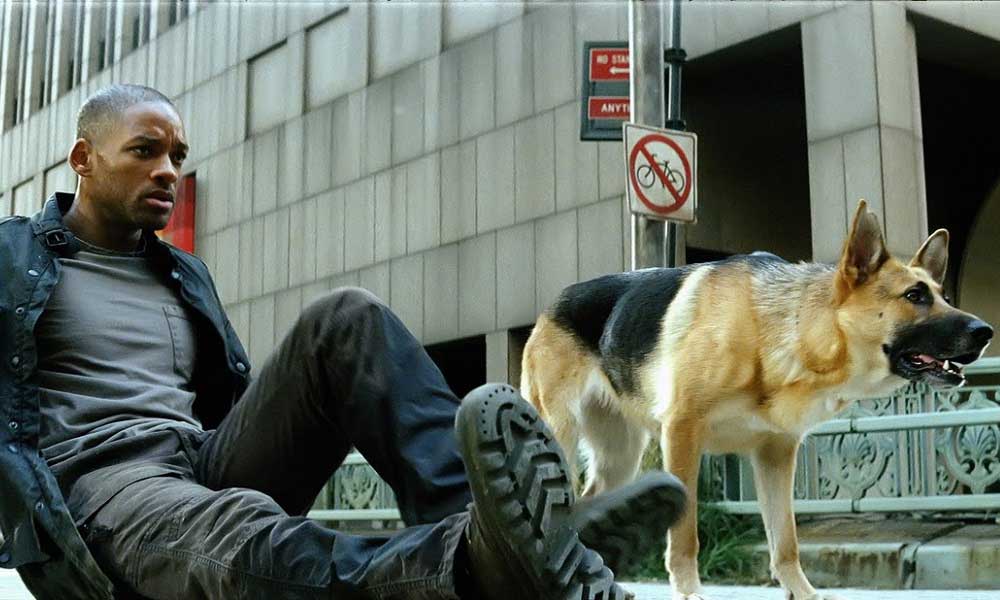 Ben Efsaneyim (I Am Legend)