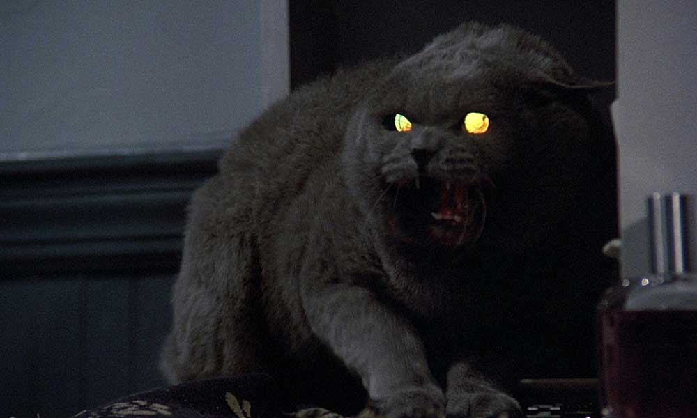 Hayvan Mezarlığı (Pet Sematary)