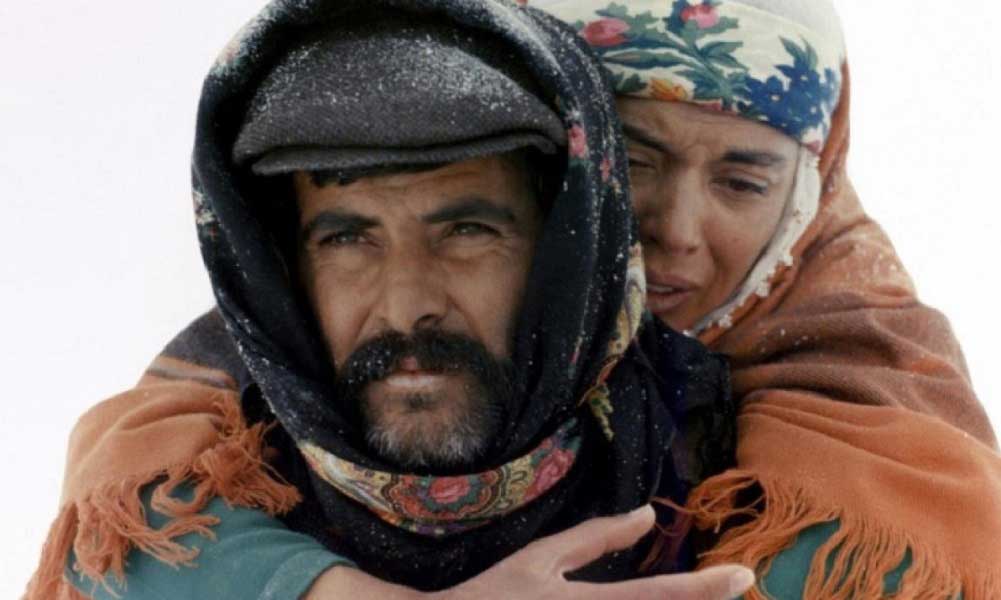 Tarık Akan Filmleri