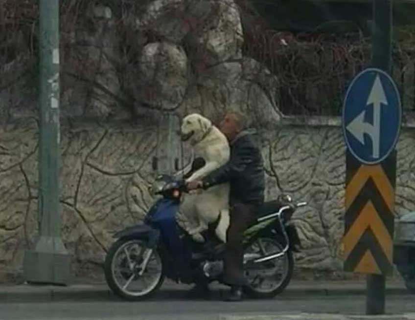 Ulkemizde Cekilmis En Acayip Fotograflar 66