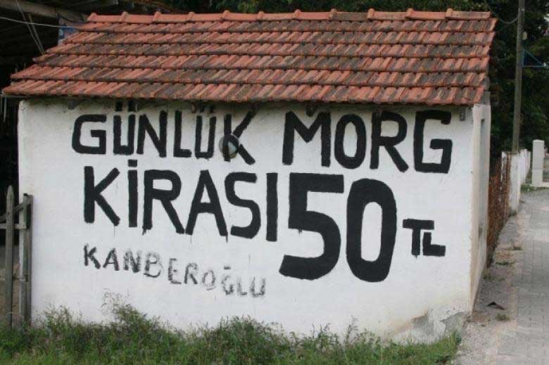 Ulkemizde Cekilmis En Acayip Fotograflar 99