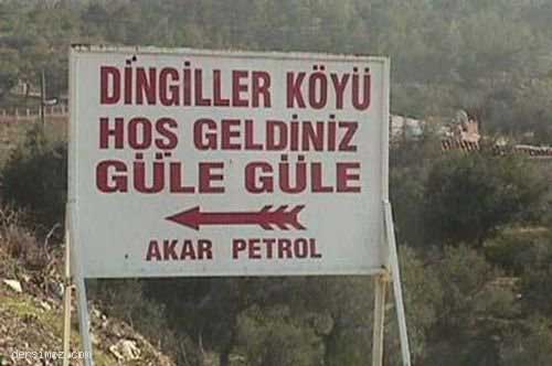 Ulkemizde Cekilmis En Acayip Fotograflar Bizde Diyoruz Bu Dingiller Nerede Yetisiyor