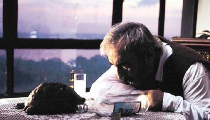Aşk Filmlerinin Unutulmaz Yönetmeni (1990)