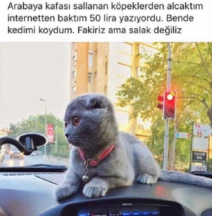 fakiriz-ama-aptal-degiliz-20.jpg