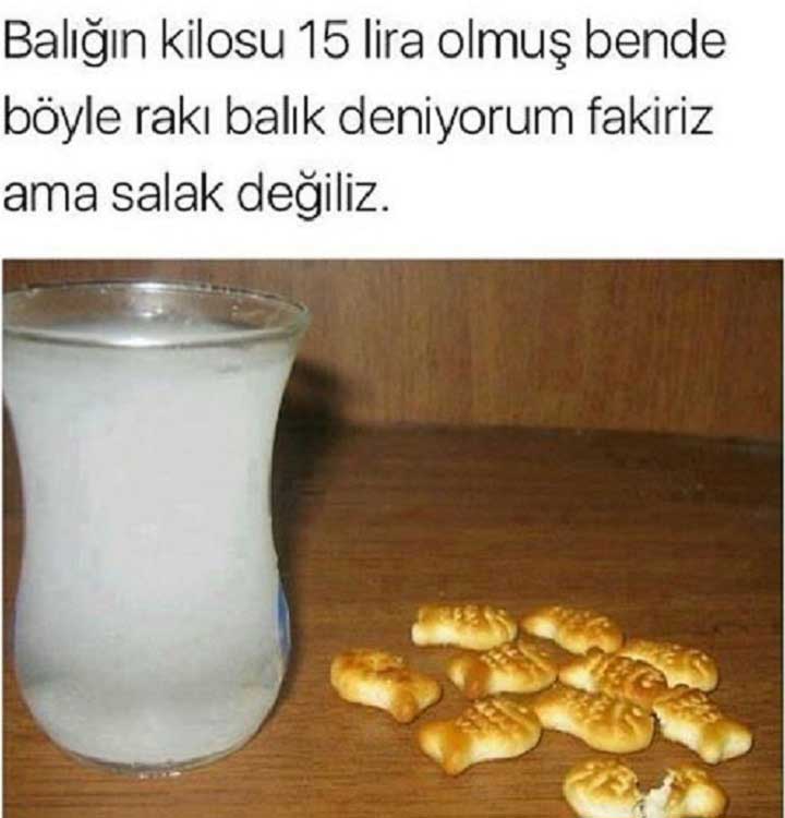 fakiriz-ama-aptal-degiliz-raki-balik.jpg