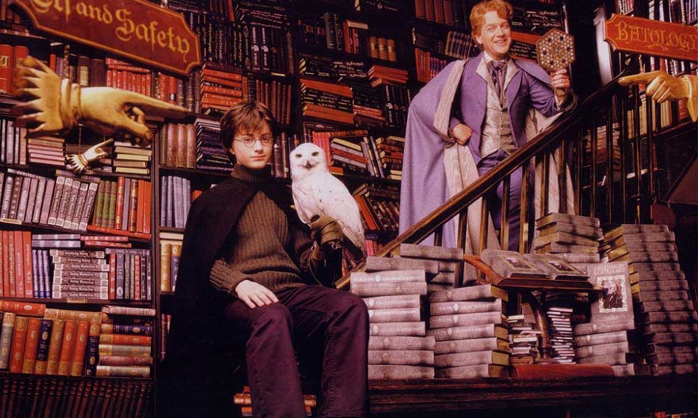 “evcil baykuş” modasının başlamasının en büyük sebebi Harry Potter!