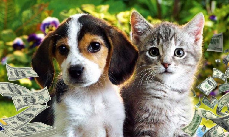 Dünya Evcil Hayvan Pazarı Şaşırtıcı Rakamlara Ulaştı!